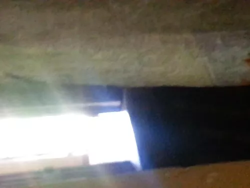 મેજેસ્ટિક બ્લોન્ડીને ...
